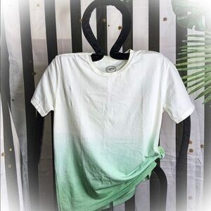 NWOT ORIGINAL PAPERBACKS MENS MINT GREEN OMBRÉ RELAXED TEE SIZE SMALL